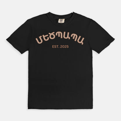 Grandpa Մեծպապա T Shirt